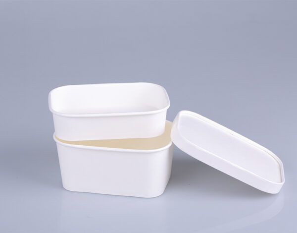 Eco Friendly Take Away Rectangular Bowl
