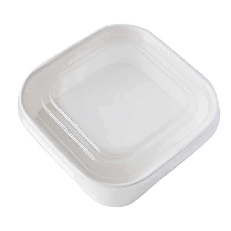 Large Square Waterproof Food Container