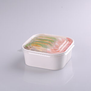 Salad Takeaway Lunch Bowl